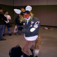 Starfox_big_thumb