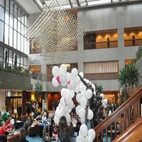 Dsc_0341_big_thumb