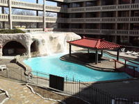 5_hotel_thumb