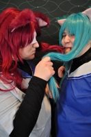 Dsc_0319_thumb