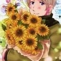 sunflowersandvodka