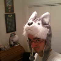 knight__wolf