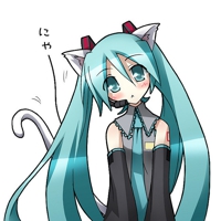 nekokai