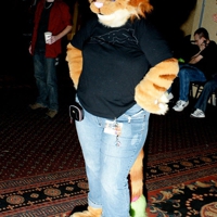 Rmfc1_big_thumb