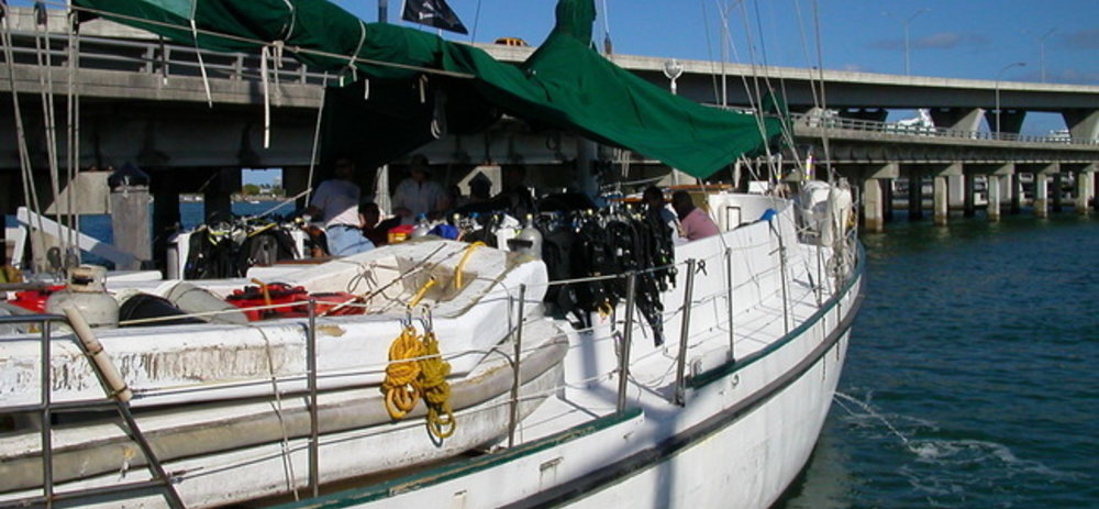 Pirates_lady