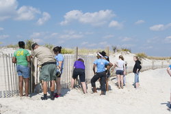 Working at Assateague