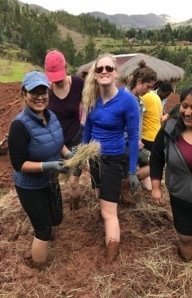 Mason students planting indigenous plants on an organic farm.