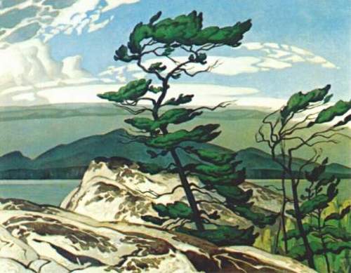 'White Pine' A.J. Casson