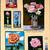 David-bates_coastal-rose_thumb