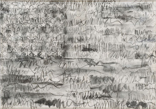 'Flag' Jasper Johns