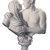 'Bourgeois Bust - Jeff and Ilona'