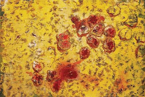 'Fruits de Novembre' Miquel Barceló