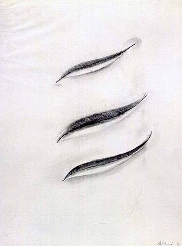 'Three Leaves' Richard Artschwager