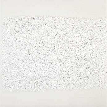'Case' Robert Ryman