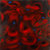 Ross-bleckner_inheritance-n-e-m_thumb