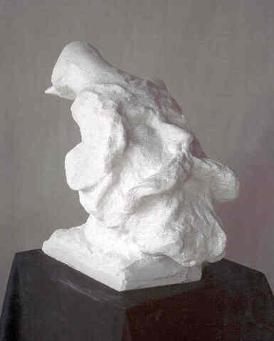 'Duckman' Saint Clair Cemin