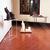 Saint-clair-cemin_installation-view_thumb