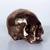 Sherrie-levine_skull_thumb