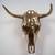 Sherrie-levine_steer-skull-unhorned_thumb