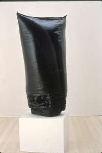 'Untitled - 3,000 garbage bags (approx.), steel pole on painted wooden pedestal' Tom Friedman
