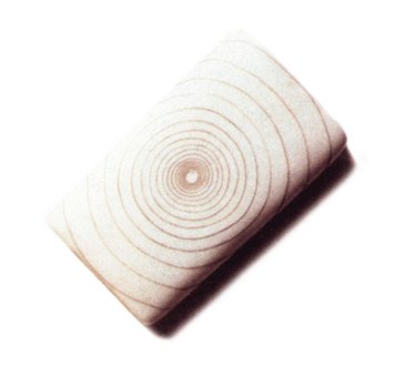 'Untitled (pubic hair/soap)' Tom Friedman