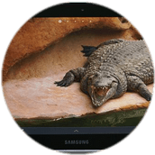 Samsung Galaxy Tab 10.1