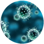 Microbiology
