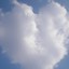 Cuore