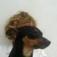 Stringio