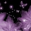 Twinkling%20lilac_6