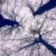 Stringio