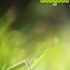 Open-uri20111018-1-dm8gxy