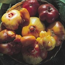 Urban Homesteading Series: Planning a Garden Throughout the Year
