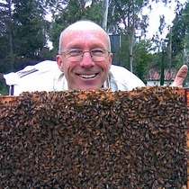 Urban Homesteading Series: Introduction to Beekeeping