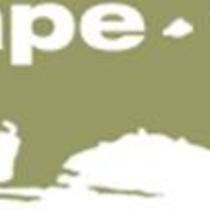 “Visions of the Gaviota Coast - paintings by SCAPE artists, photography by Reeve Woolpert.” To benefit the Naples Coalition & Gaviota Coast Conservancy