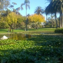 Alice Keck Today