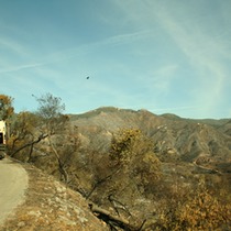One More Tea Fire Aftermath Picture