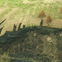 Driving Through the Tea Fire Burn Area, One Month Later