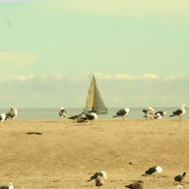 Mobile Post: East Beach Photo