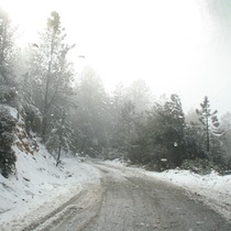 Friday in the Snow on the Mountain (with photos)