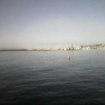 Mobile Post: Whales in the Harbor