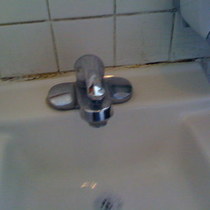 Mildewy Sink at THE ENTERPRISE FISH COMPANY    Who's next?