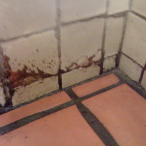 	Carlitos Cafe and Cantina, says MrPottyMouth. "Needs a little Restroom Help"