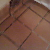 With a name like Moby Dicks there sure are a lot of puns that come to mind when blogging about nasty Restrooms.