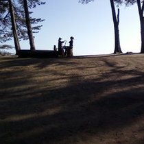 Mobile Post: Landscape at wilcox
