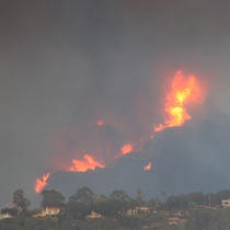 Mobile Post: Big Flames Near Botanic Garden
