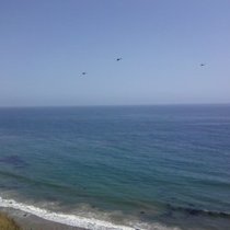 Mobile Post: Helicopters Circling near the Wilcox