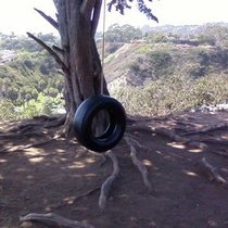 Mobile Post: Cool tire swimg @ wilcox- thanku!