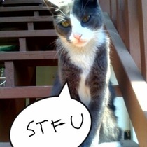 Tyson says..