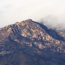 Some Pictures from Just After the Rain